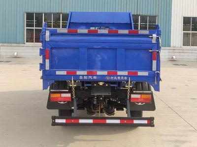 Shifeng  SSF3046DDP43S2 Dump truck