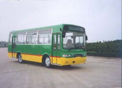 Heke  HK6810A coach