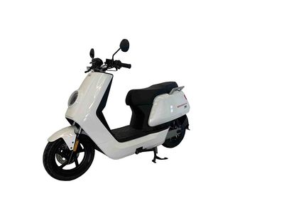 Ruishi  RS800DQT5A Electric two wheeled light motorcycle