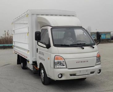 Skyworth NJL5033CCYEVC Pure electric grille transport vehicle