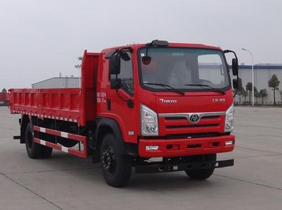 Shitong  STQ3182L10Y2N5 Dump truck