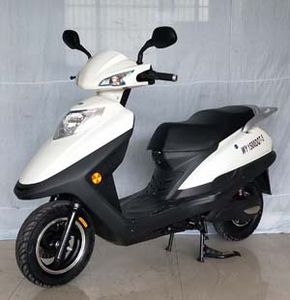 Wangye  WY1500DQT5 Electric two wheeled light motorcycle