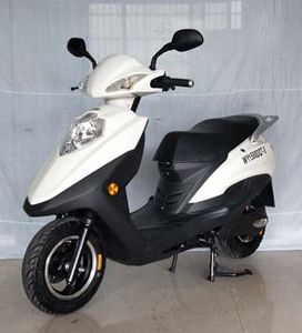 Wangye  WY1500DQT5 Electric two wheeled light motorcycle