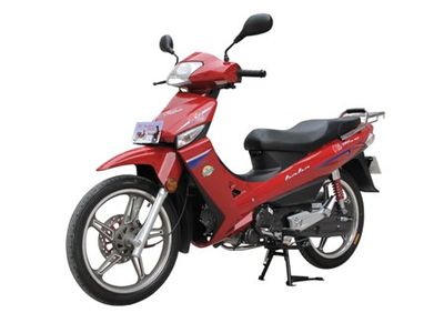 Dayang  DY11018A Two wheeled motorcycles