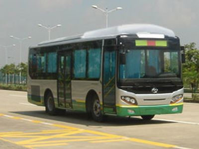 Wuzhoulong FDG6910NGCity buses