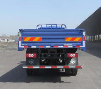 Foton  BJ1169VKJEDFG Truck