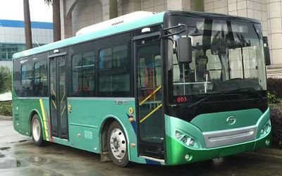 Wuzhoulong  FDG6851EVG9 Pure electric city buses