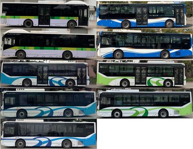 Shenwo  SWB6108BEV90G Pure electric city buses