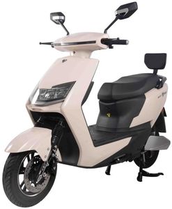 Biden  BDW1200DT11 Electric two wheeled motorcycle