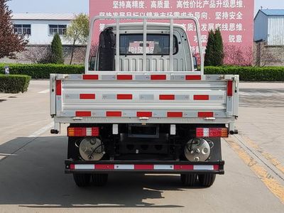 Shifeng  SSF1046HDW42L Truck