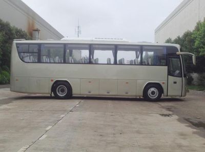 Yangzi  YZK6120NY4A coach