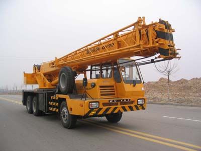 Dongyue  TA5255JQZQY20D Car crane