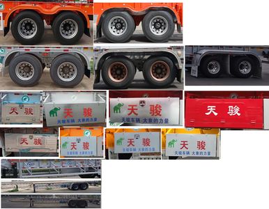 Tianjun Dejin brand automobiles TJV9350TJZH Container transport semi-trailer