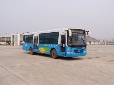 Hongqiao  HQK6100GL City buses