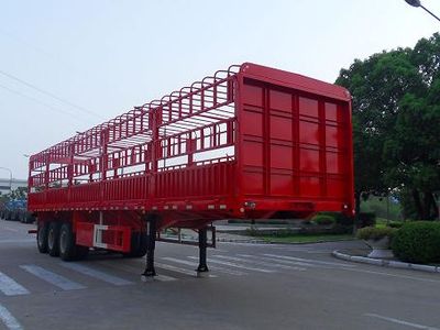 Phoenix  FXC9406CCY Gantry transport semi-trailer