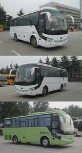 Yutong  ZK6908HAA coach