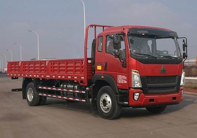 Haowo  ZZ1187K471DF1 Truck