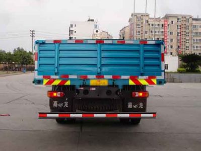 Jialong  DNC1160G40 Truck