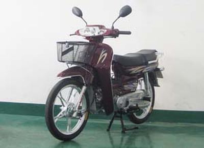 Wangye  WY48Q moped with two wheels 