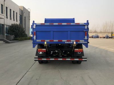 Shifeng  SSF3046DDJ42C Dump truck