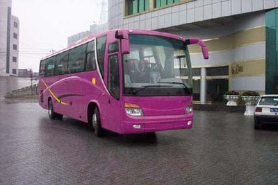 Wanda  WD6890HC1 coach