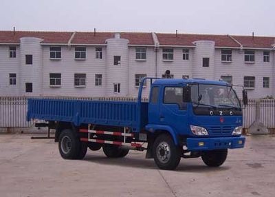 Long March  CZ1081 Truck