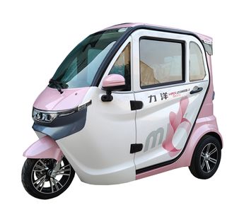 Liyang  LY1500DZK3 Electric tricycle