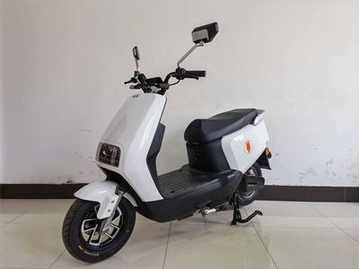 Europa  OP1000DT5 Electric two wheeled motorcycle