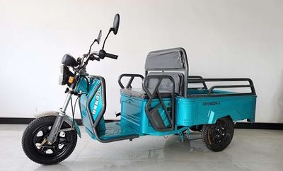 Qingqi Xin Power  QX1200DZH6 Electric tricycle