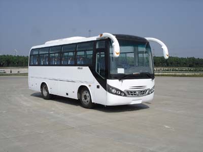 Lingyu  CLY6810D coach