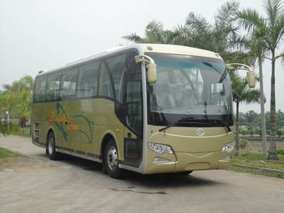 Feichi  FSQ6105DT coach