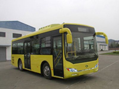 Dongfeng  DHZ6900LN1 City buses