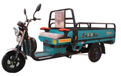 Fengshou  FS2500DZH3B Electric tricycle