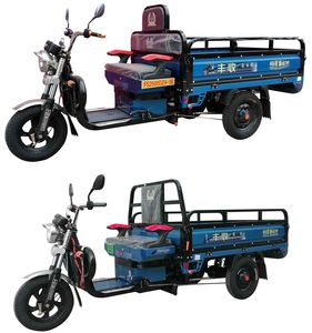 Fengshou  FS2500DZH3B Electric tricycle