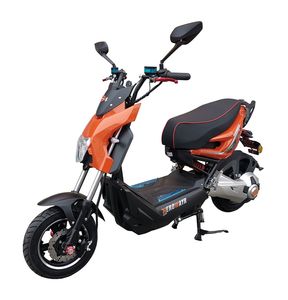 Hariway HLW1000DT6 Electric two wheeled motorcycle