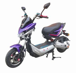 Hariway HLW1000DT6 Electric two wheeled motorcycle