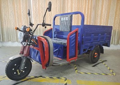 Lu Jiangjun  LJJ1000DZH2 Electric tricycle