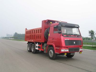 Shengyue  SDZ3256ZZ4646F Dump truck