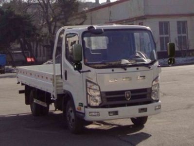 Jinbei  SY1044DV5SQ2 Truck