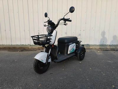 Aoyuan  AY500DQZ Electric three wheeled light motorcycle