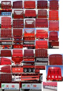 Tianjun Dejin brand automobiles TJV9400CCYM Gantry transport semi-trailer