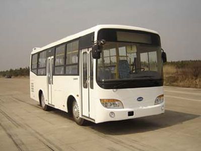 Heke HK6761GCity buses