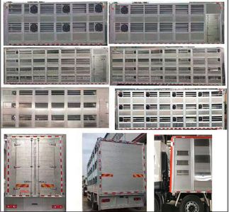 Stallone HZH5310CCQD6 Livestock and poultry transport vehicles