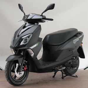 Gome  GM50QT53D moped with two wheels 