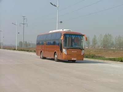 Feiyan  SDL6122W Sleeper coach