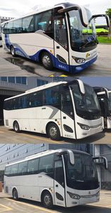 Jinlong  XMQ6901AYD5C coach