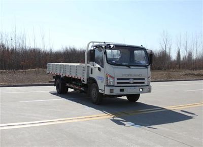 Foton  BJ1043V9JEAN1 Truck