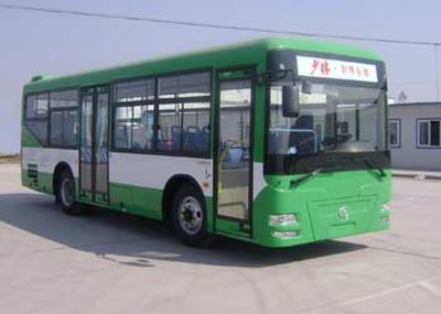 Shaolin  SLG6920C3GNR City buses