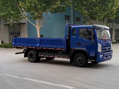 Shifeng SSF3091DHP76Dump truck