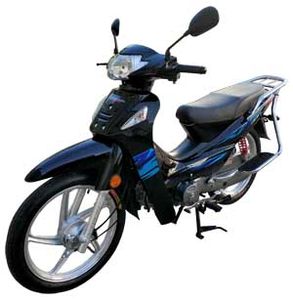 Luojia LJ12528DTwo wheeled motorcycles